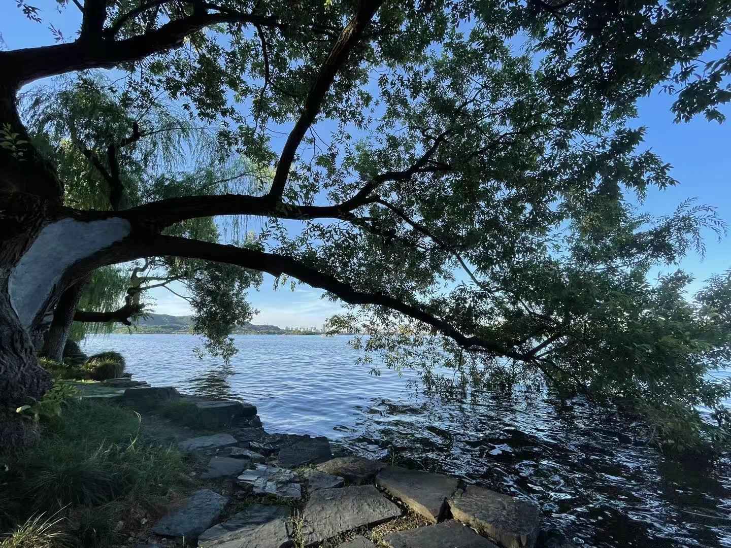 我想拥有那座城市！！！！